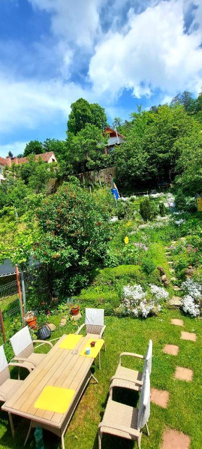 Casa Sperantei Daire Sighişoara Dış mekan fotoğraf