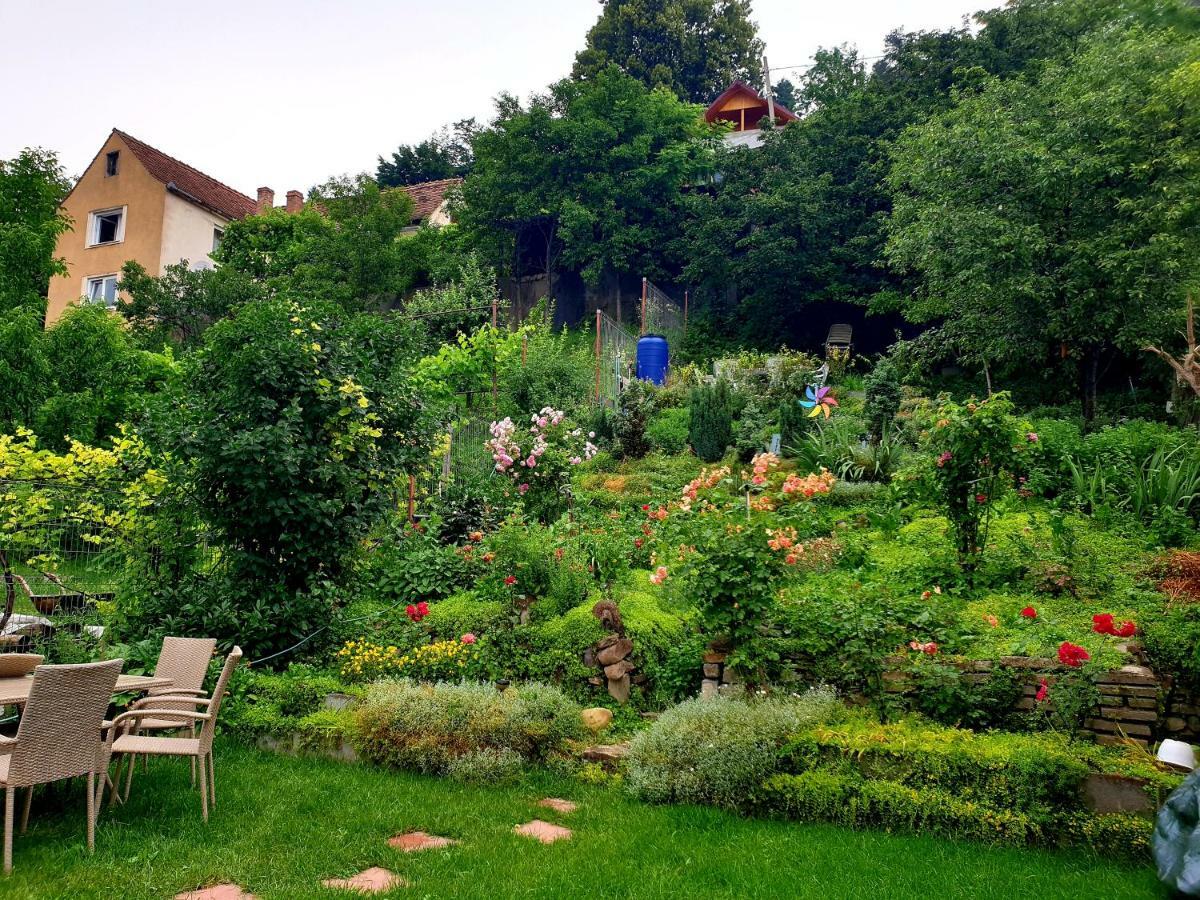 Casa Sperantei Daire Sighişoara Dış mekan fotoğraf